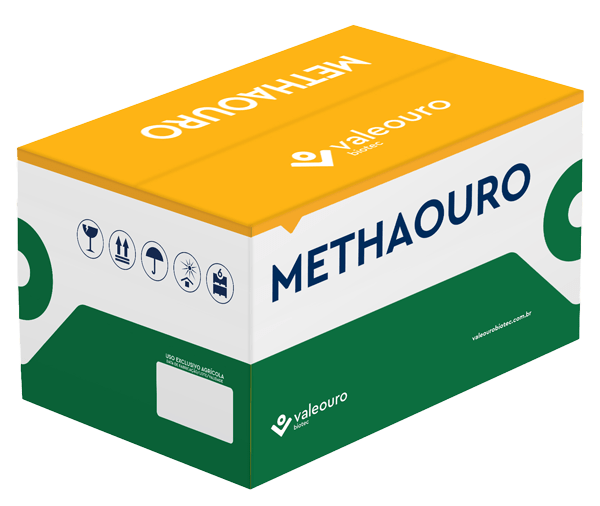 Methaouro