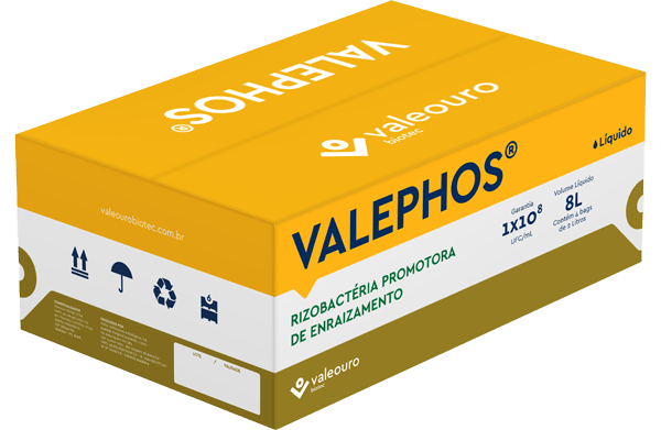 Valephos