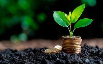 Valeouro Biotec e Finep celebram contrato de R$ 18 milhões em financiamento